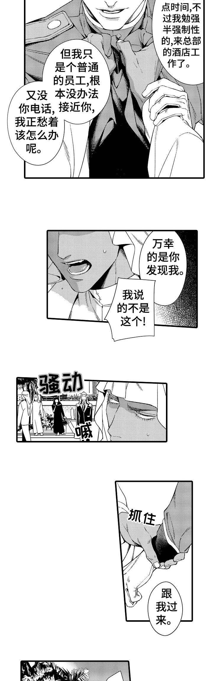 第23章：迪拜