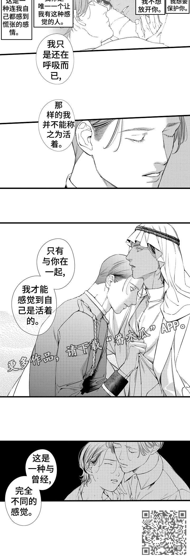 第24章：不同