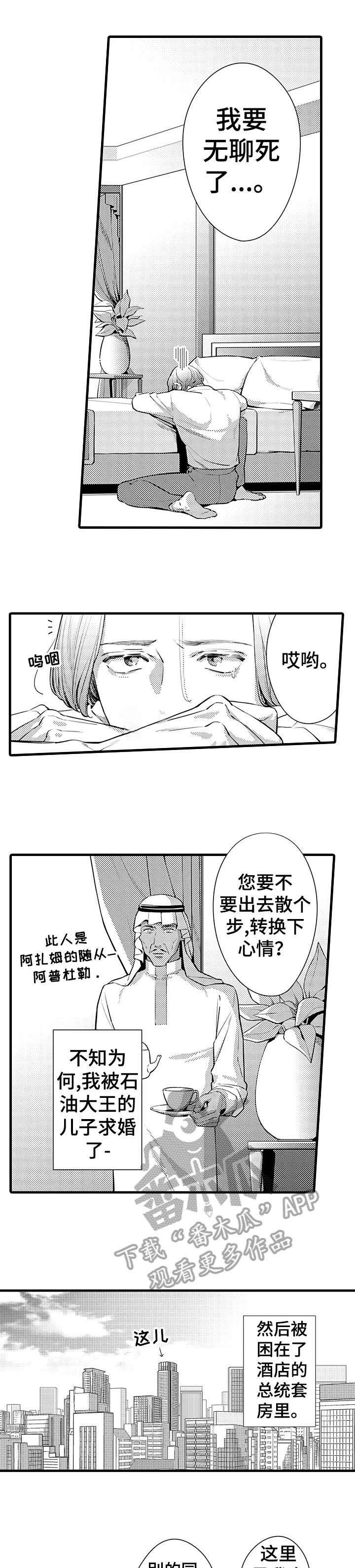 第4章：培养