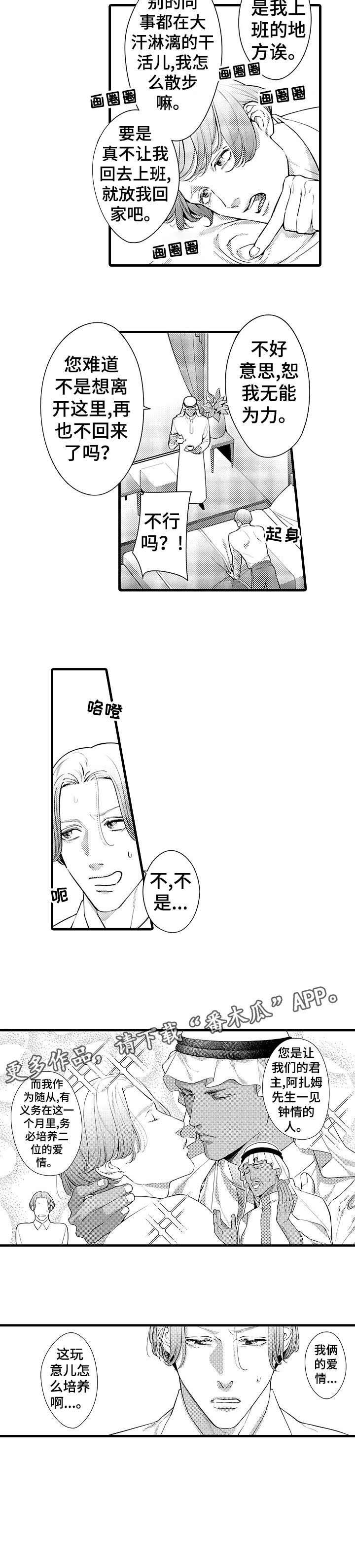 第4章：培养