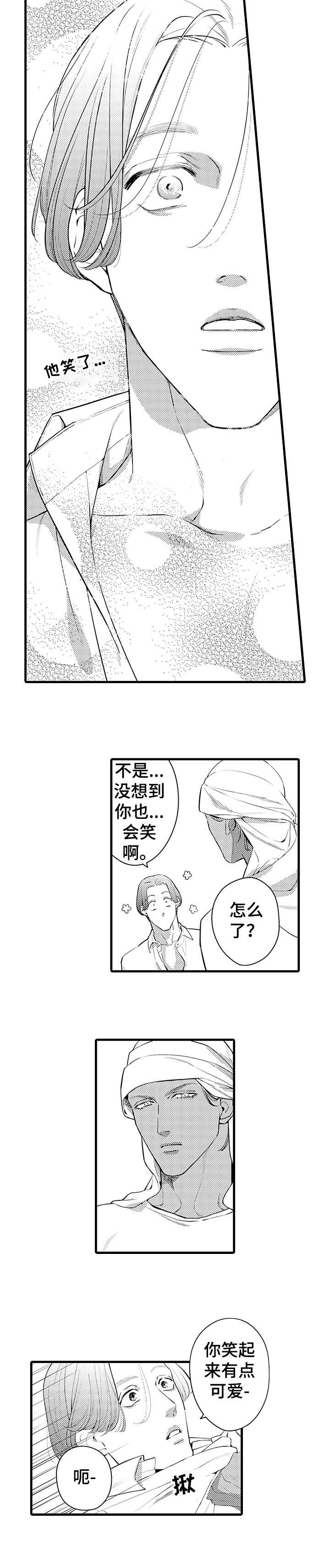 第8章：曲解