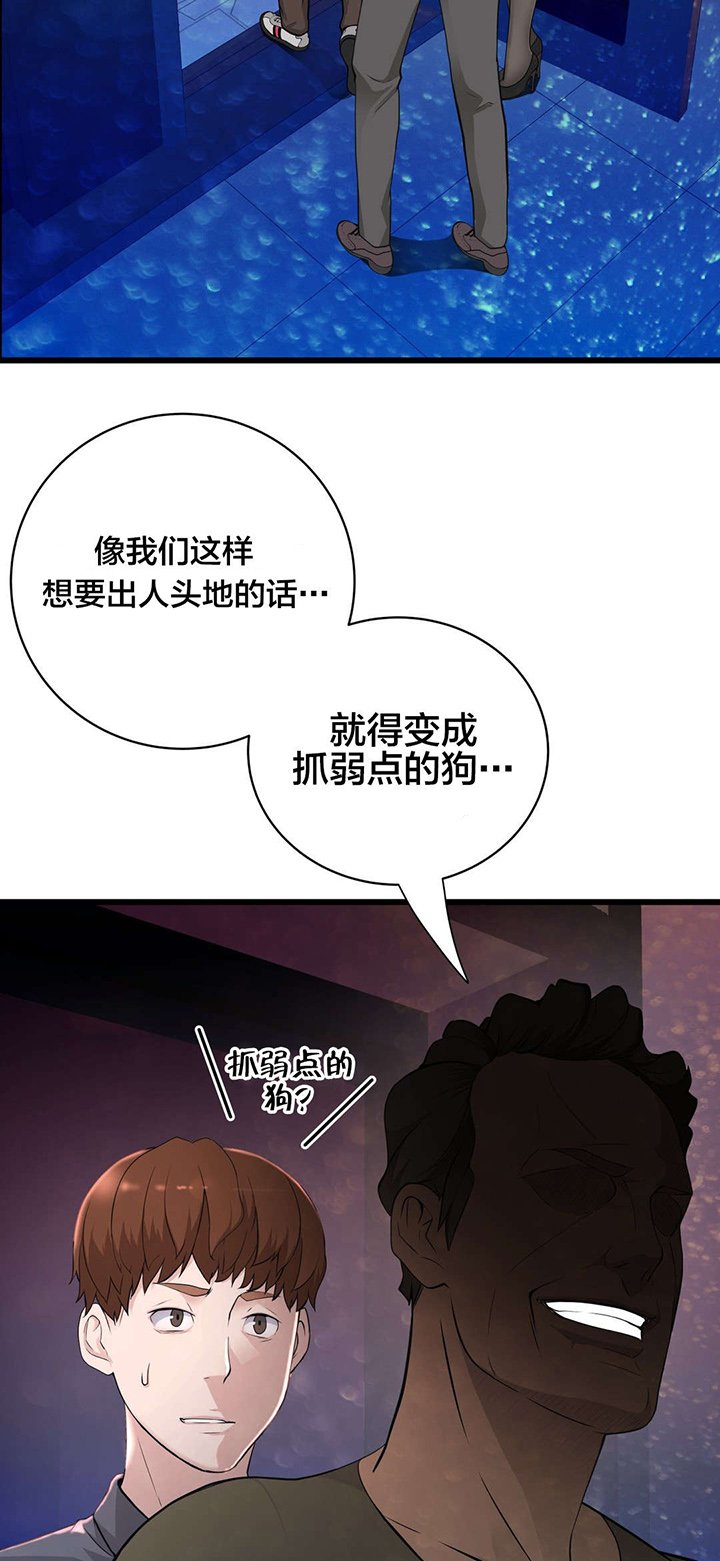 第41章：导演游戏