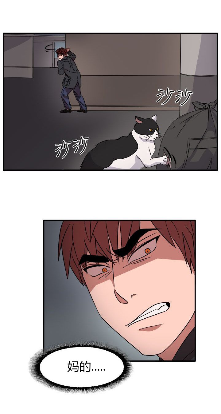第55章：因为他像我啊