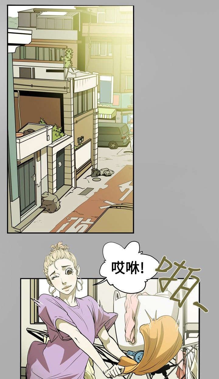 第18章：议员