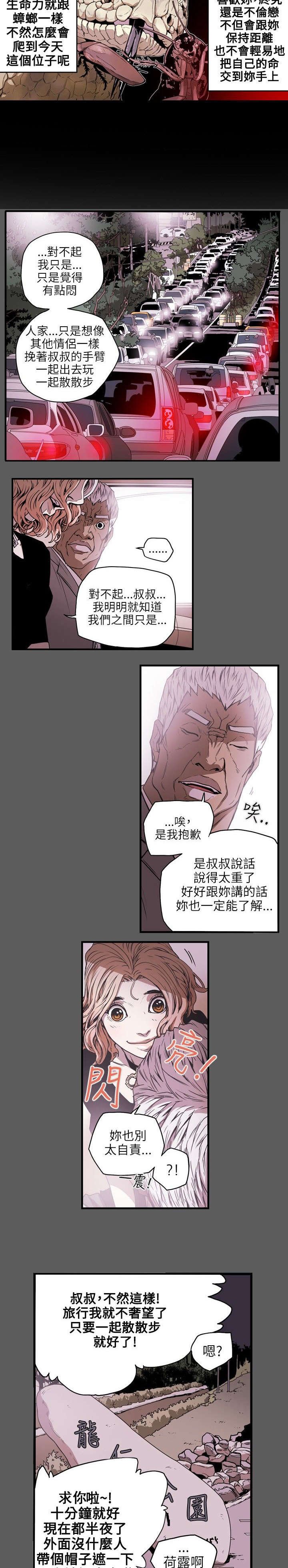 第22章：铺网