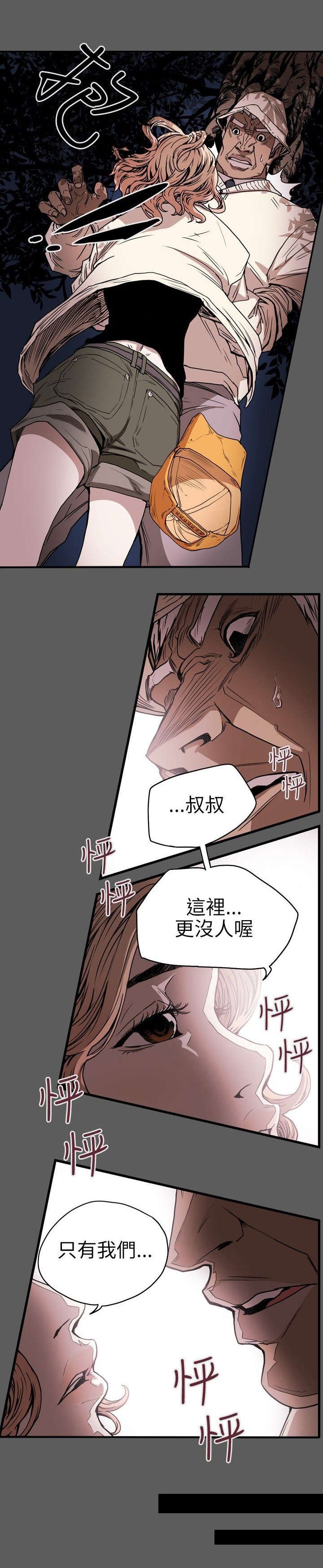 第22章：铺网