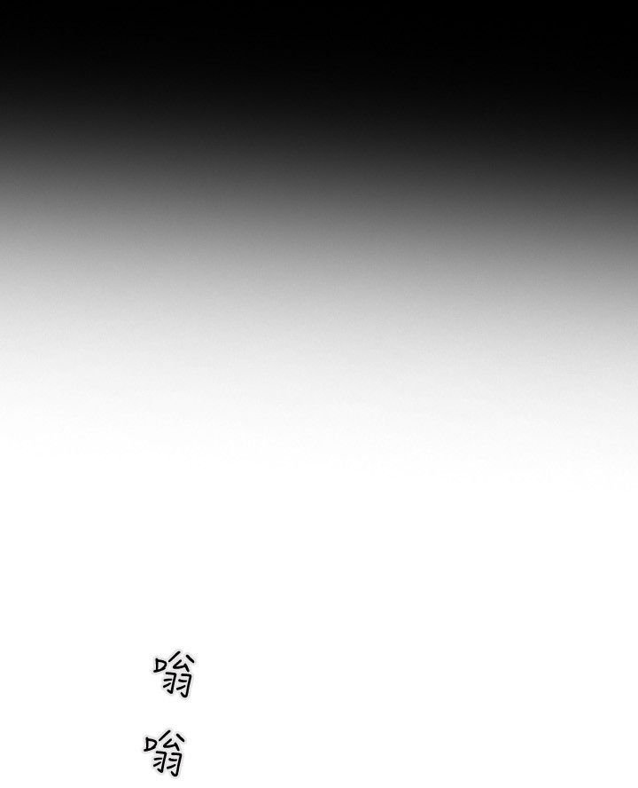 第71章：EGA