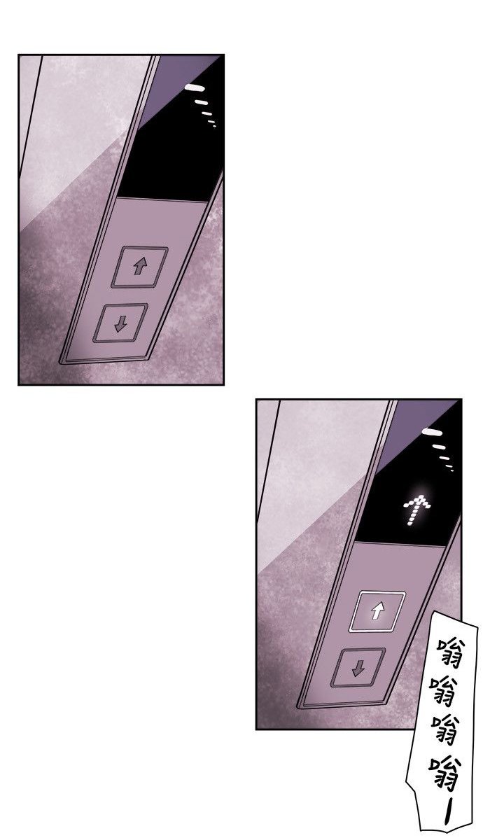 第81章：意外的相遇