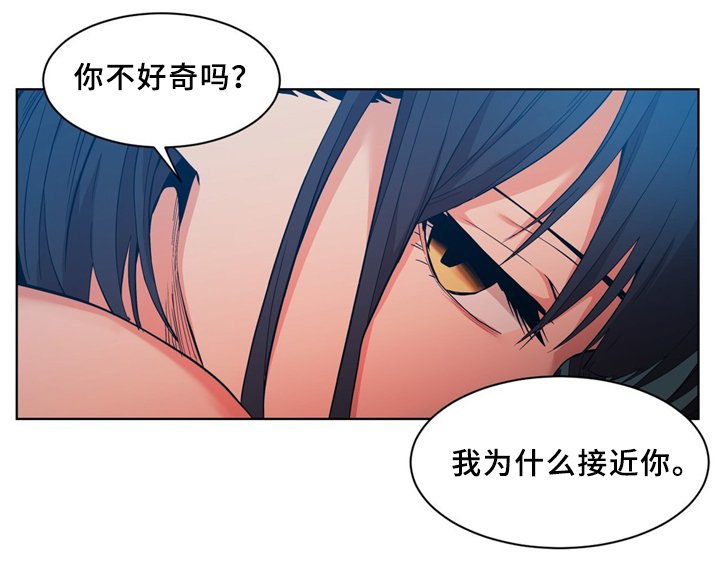 第56章：昨天的直播