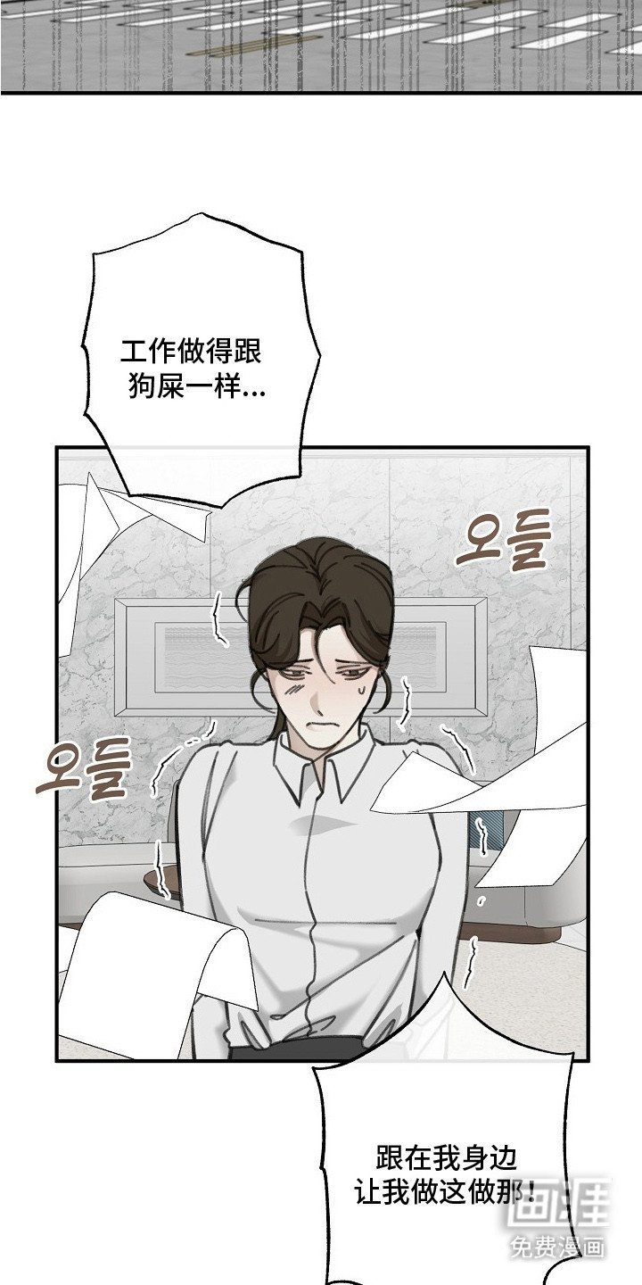 第1章：年轻总裁