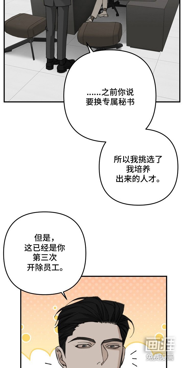 第1章：年轻总裁