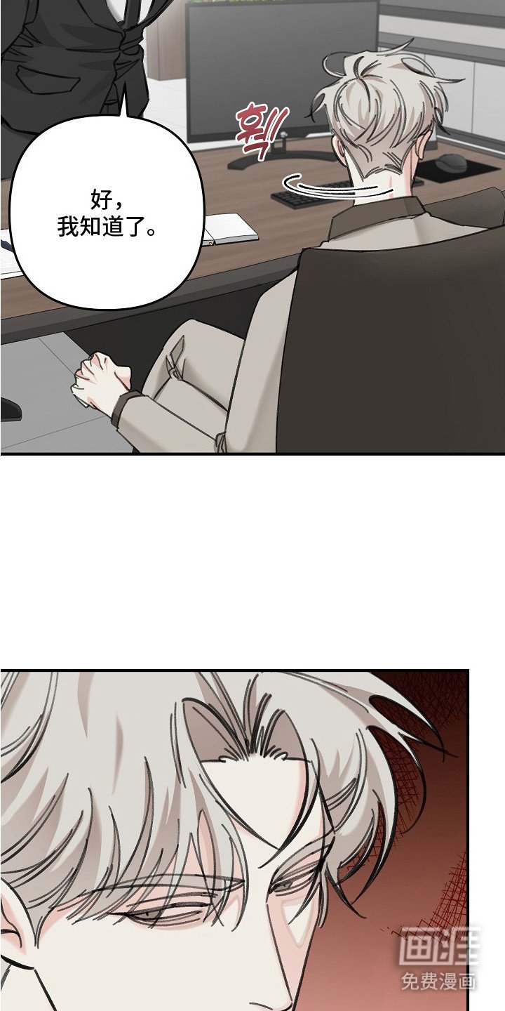 第1章：年轻总裁