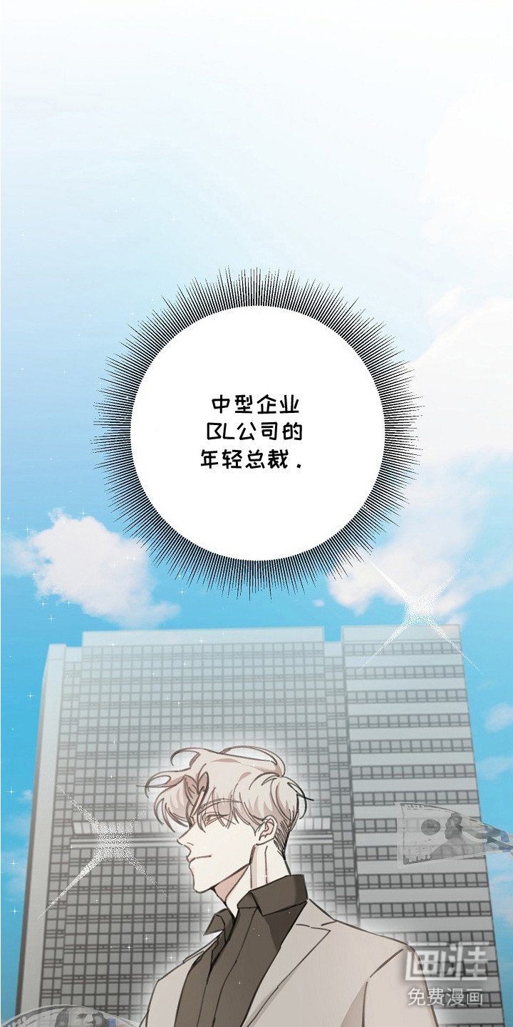 第1章：年轻总裁