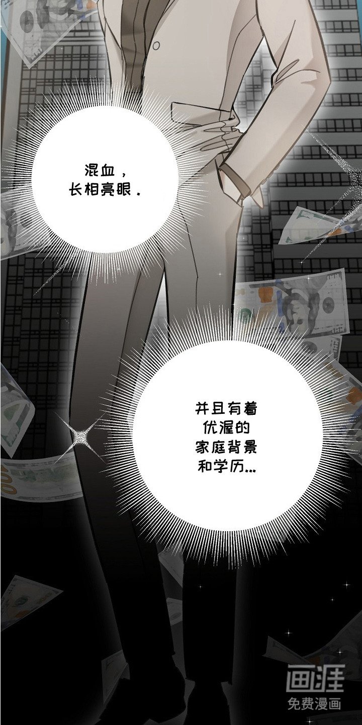 第1章：年轻总裁