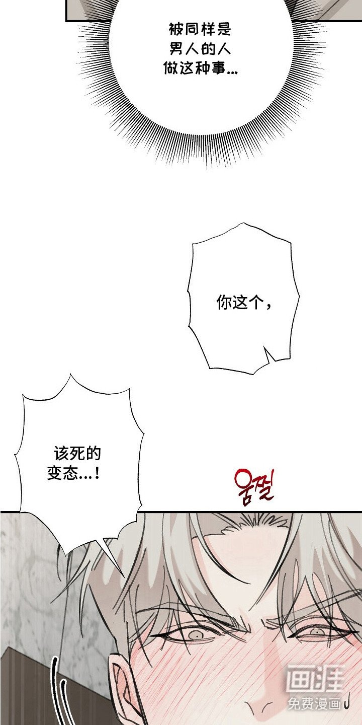 第4章：有效果了