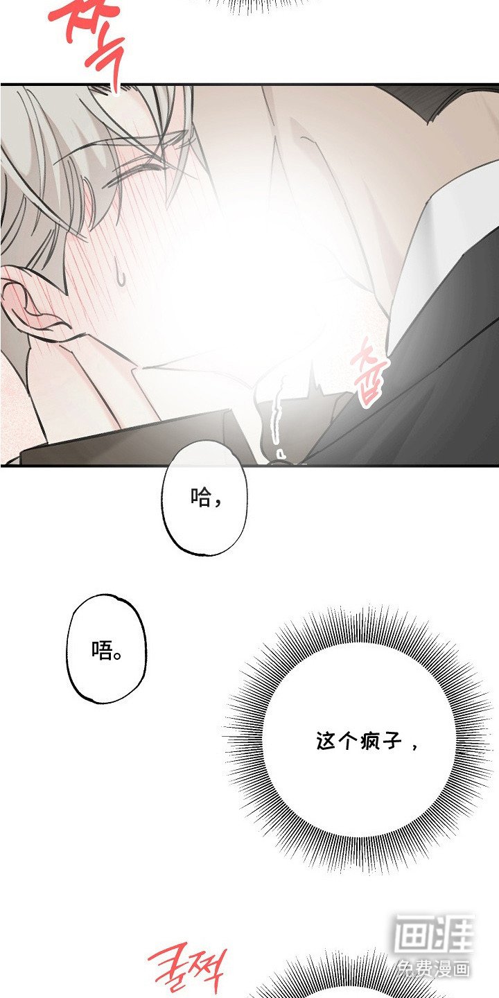 第4章：有效果了