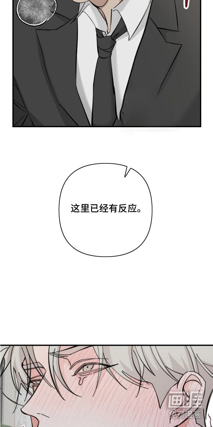 第4章：有效果了