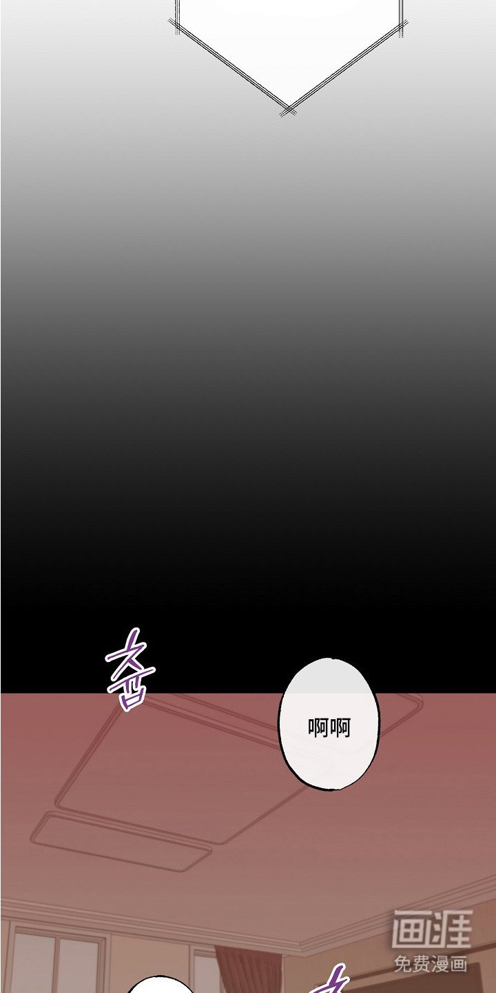 第5章：牵着鼻子走