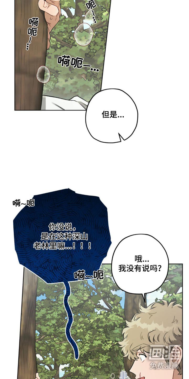 第114章：【第二季】密道