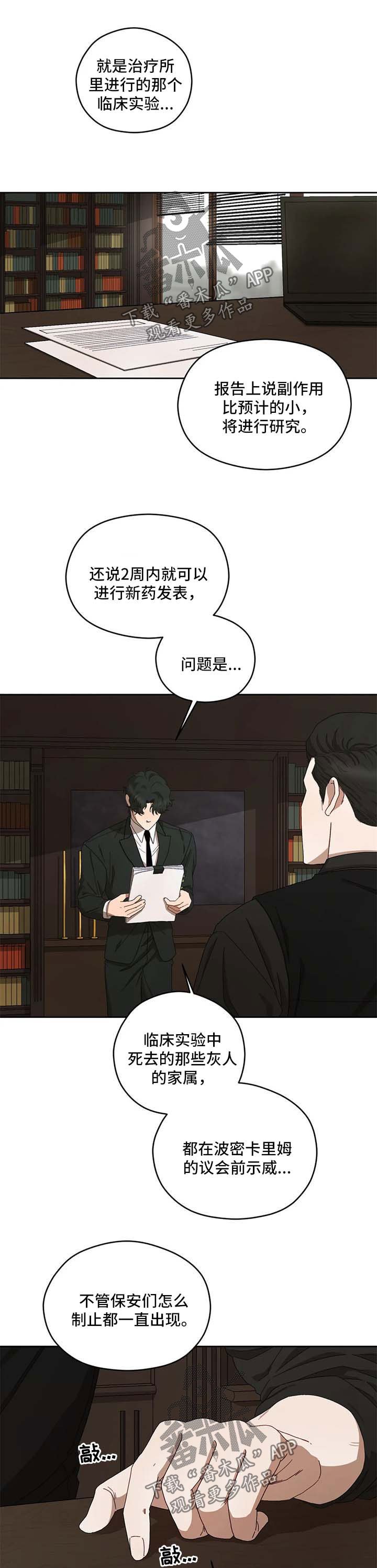 第31章：报告