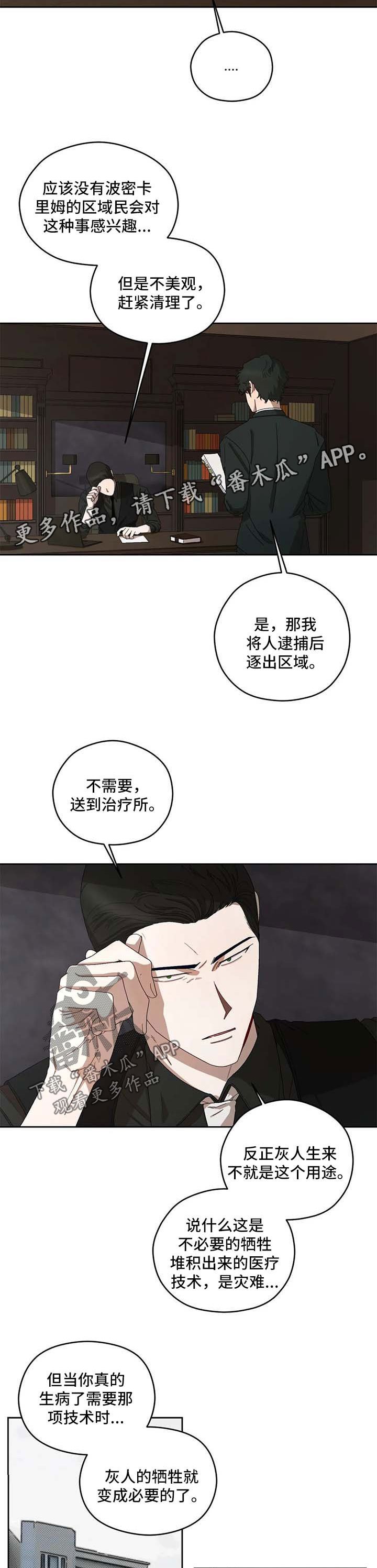 第31章：报告