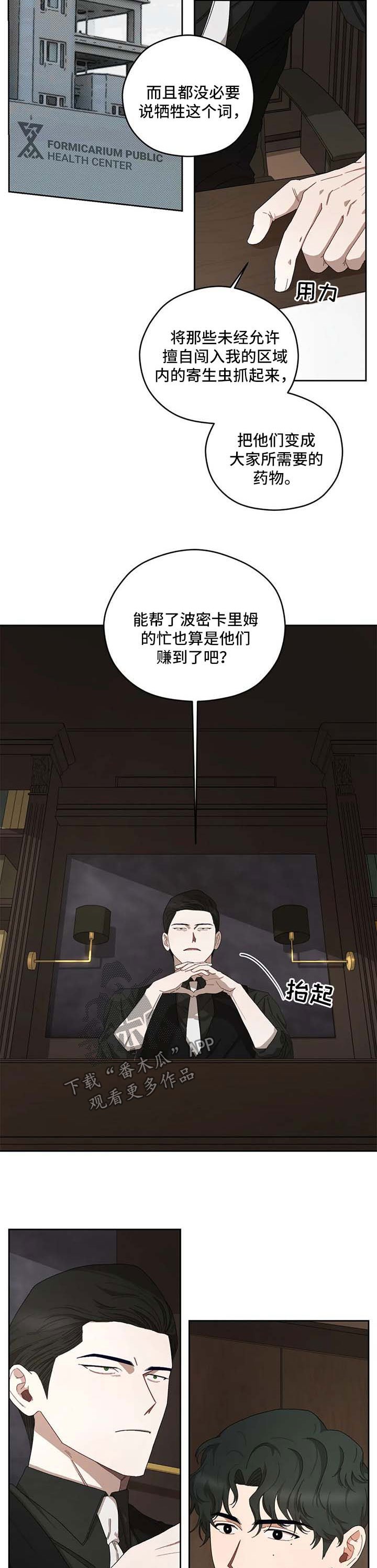 第31章：报告