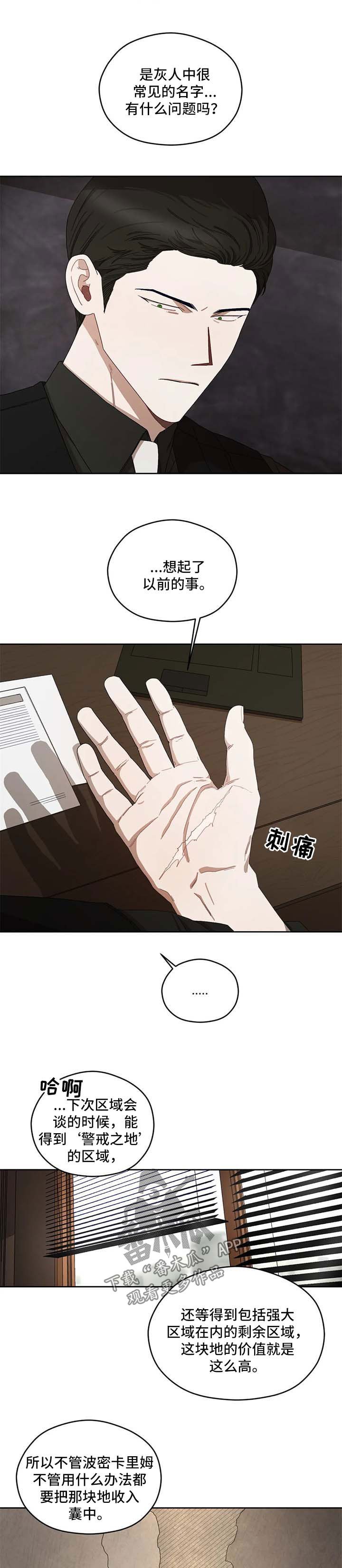 第31章：报告