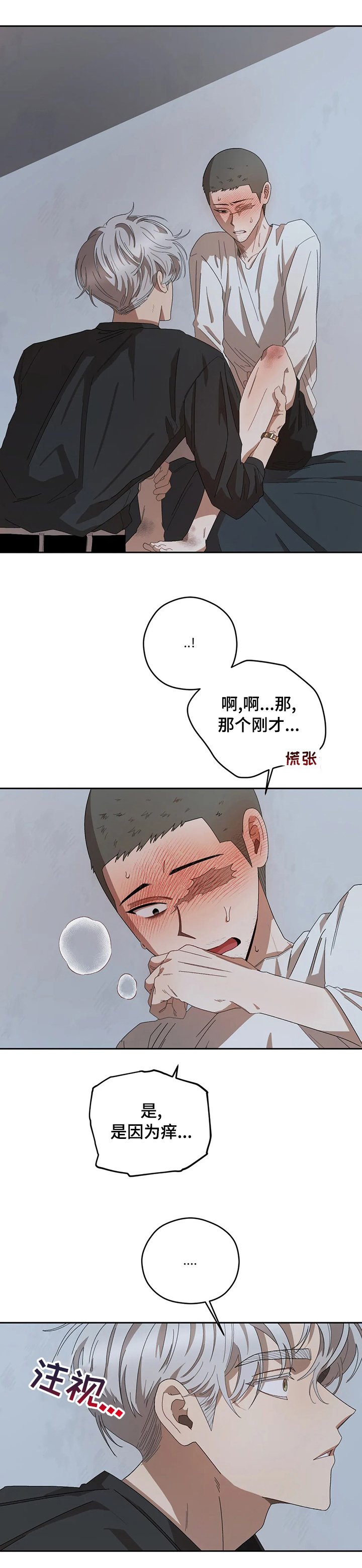 第48章：一直撩我