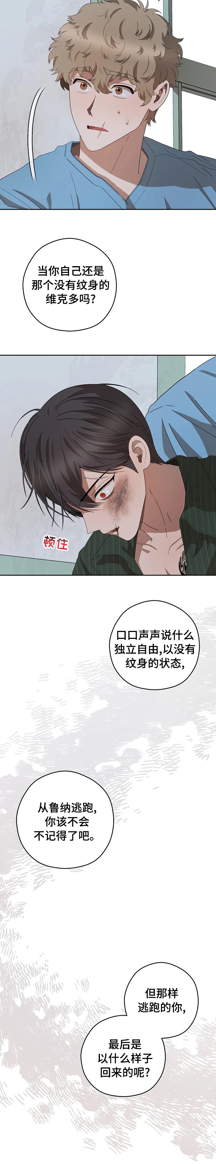 第52章：听话的弟弟