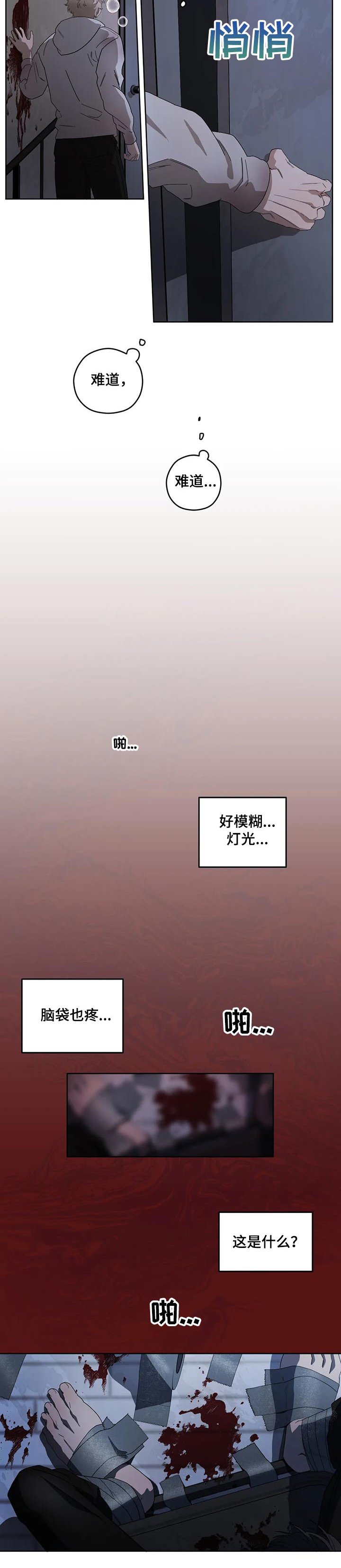 第59章：寻找维克多