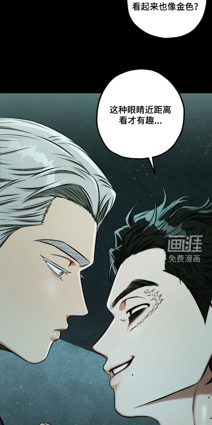 第98章：【第二季】地下