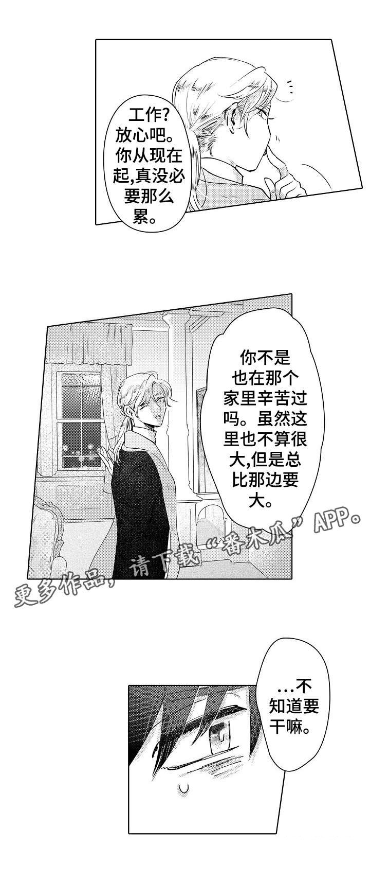 第13章：没必要