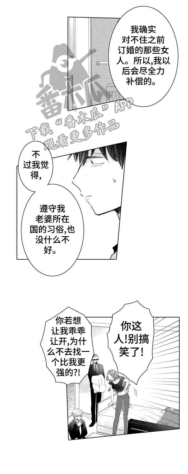 第20章：外国人