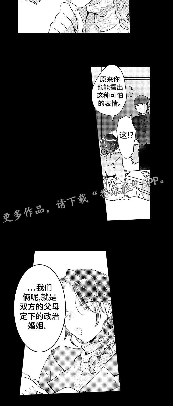 第22章：政治婚姻