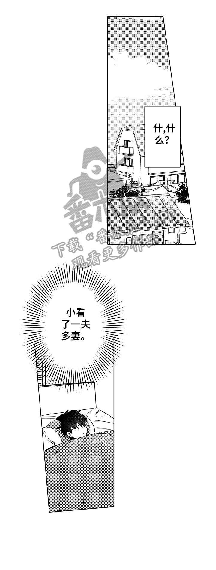 第24章：平凡