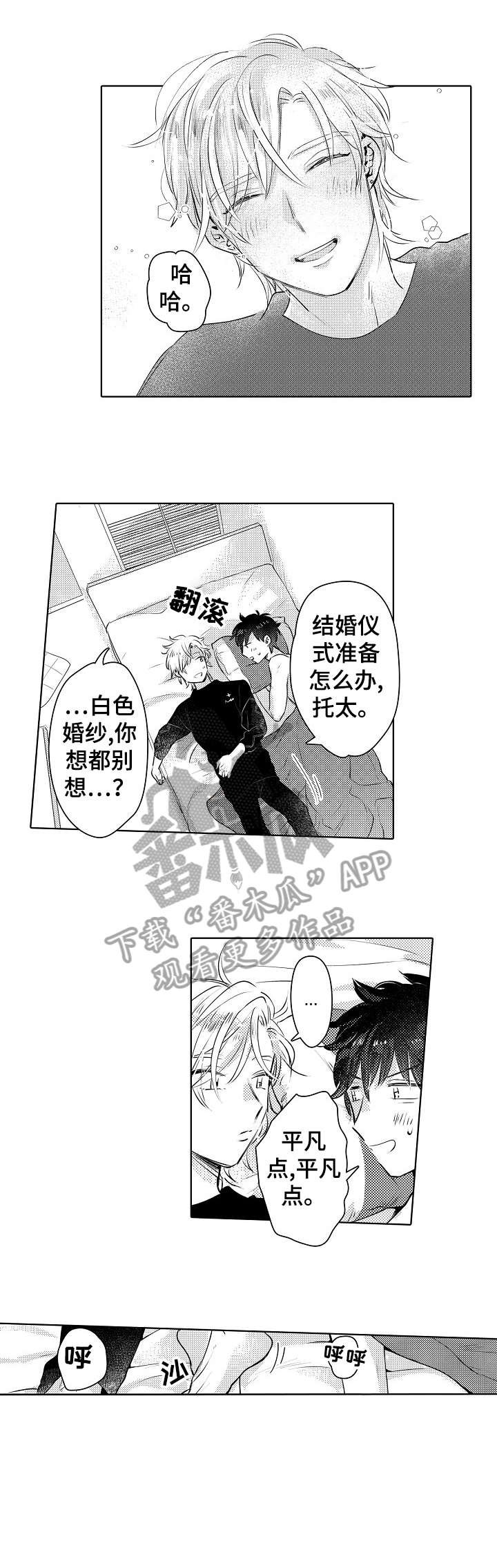 第24章：平凡