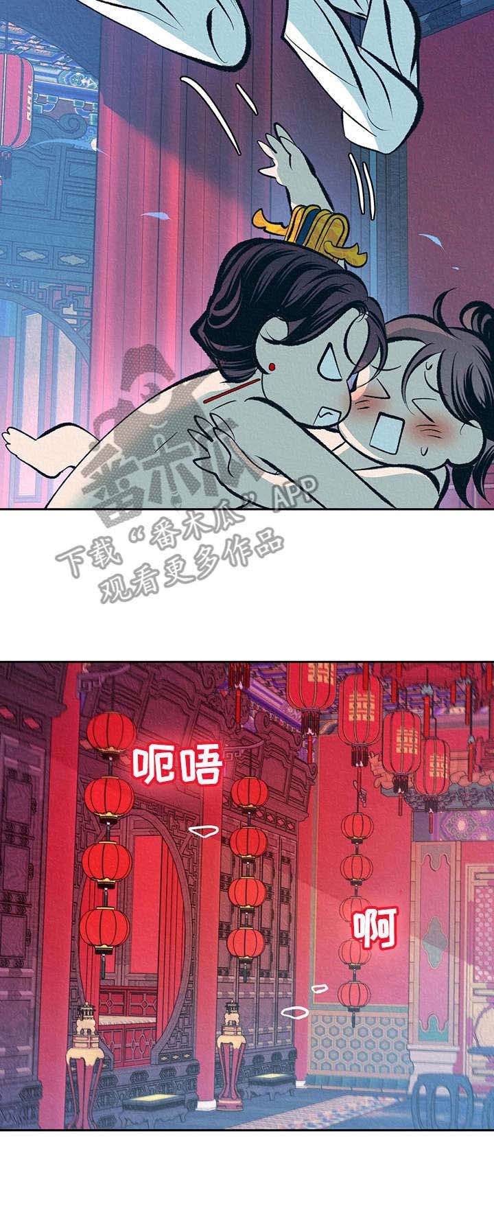 第16章：补药