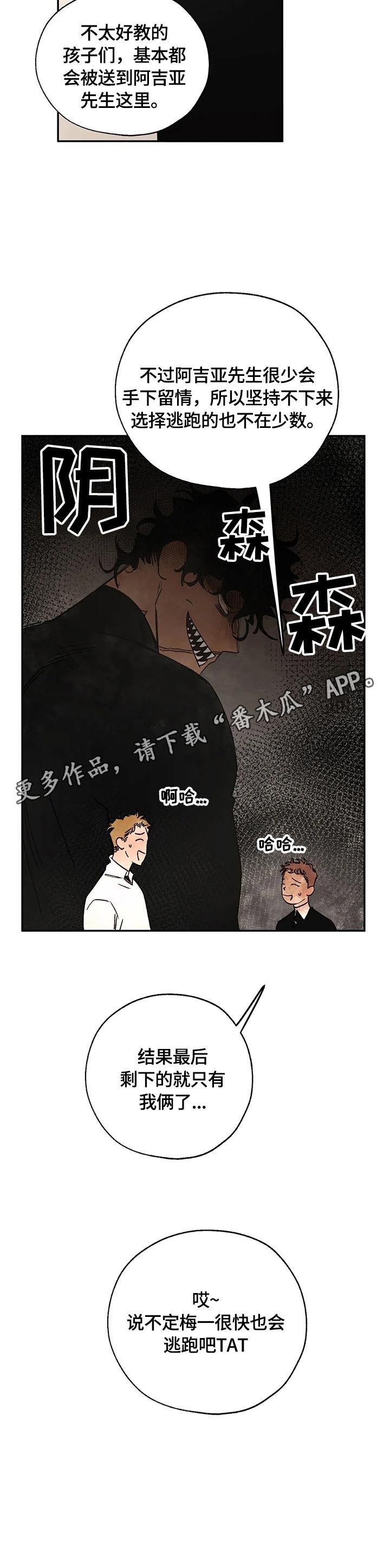 第17章：来历