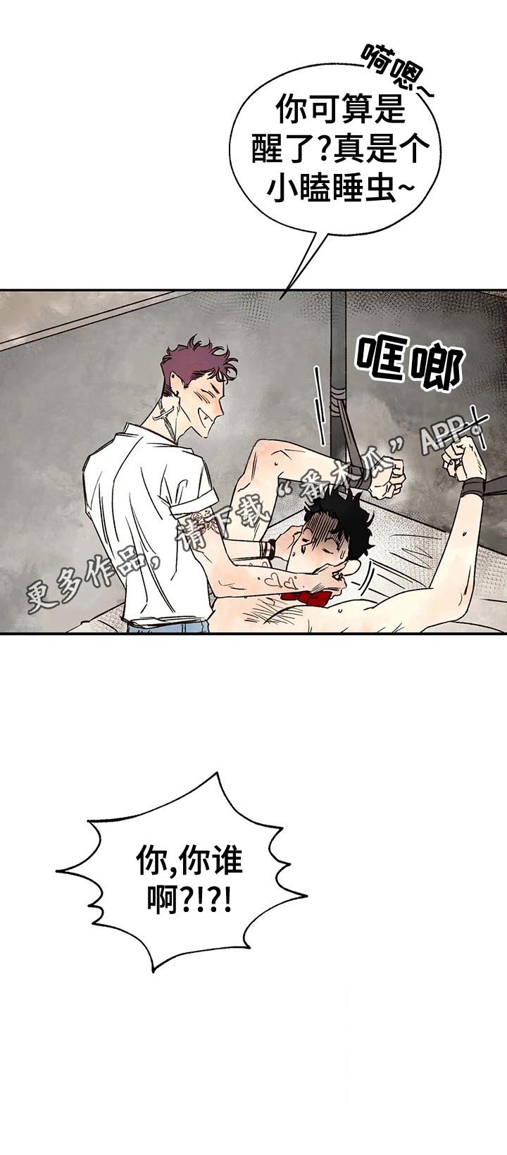 第20章：绑架