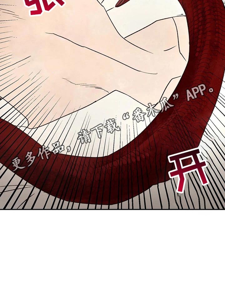 第28章：蛇之咒术