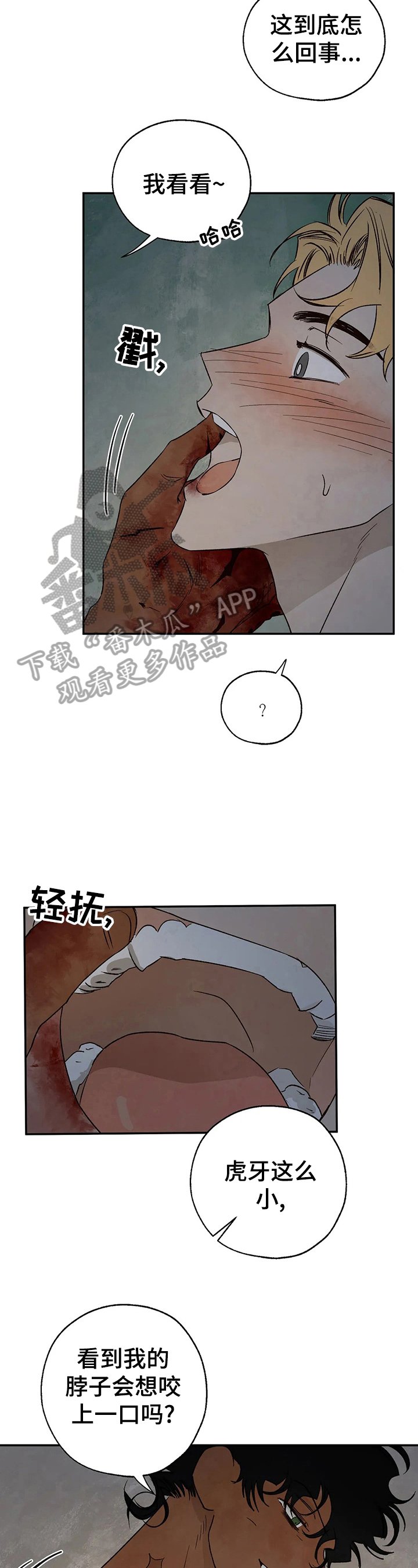 第29章：询问