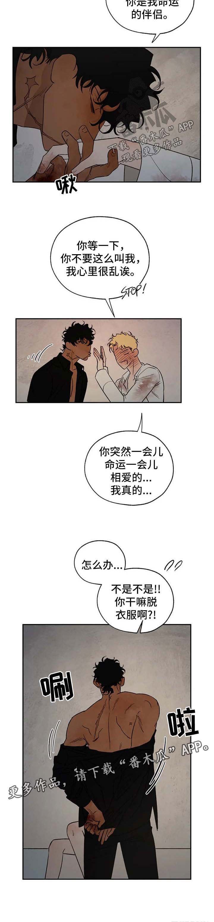 第31章：神谕