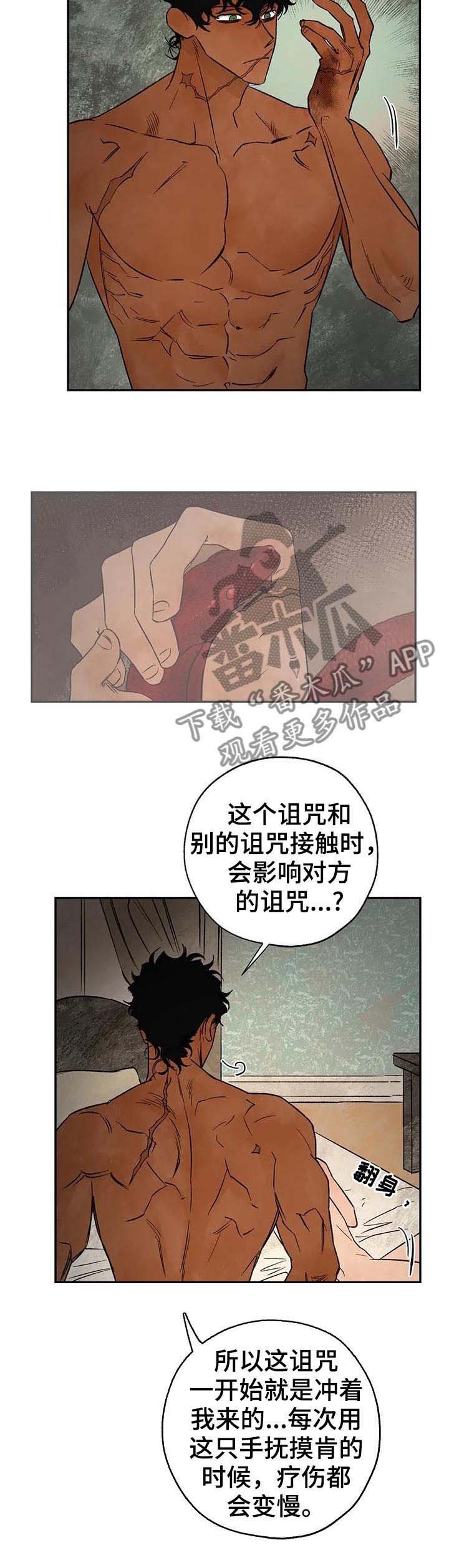 第32章：谁才是真的