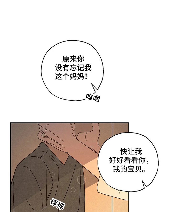第46章：母亲