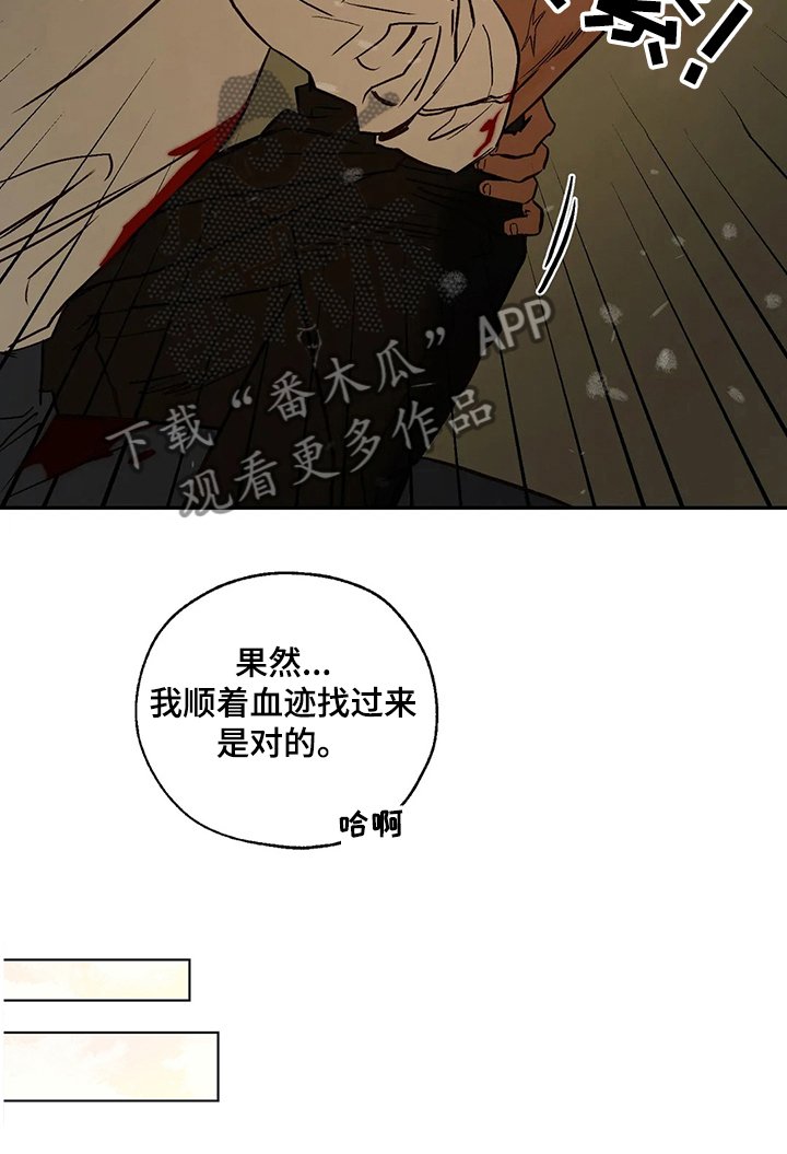 第64章：偶尔也需要