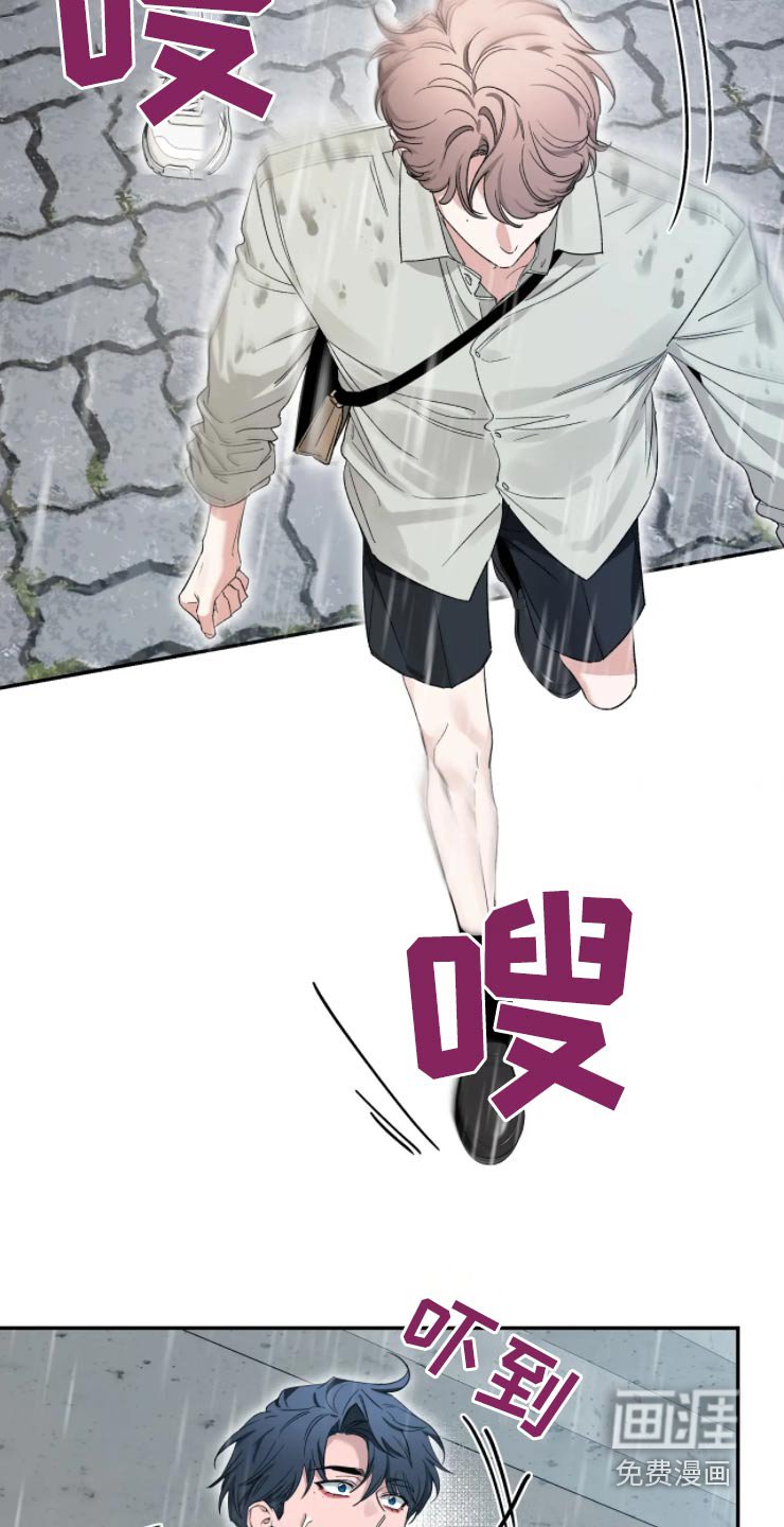 第158章：【第二季】淋雨