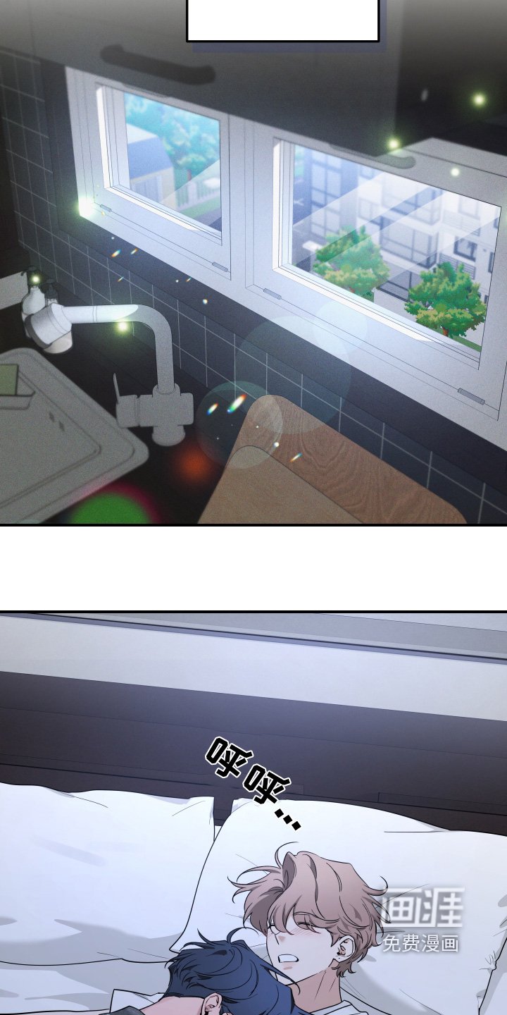 第206章：【番外】你醒了