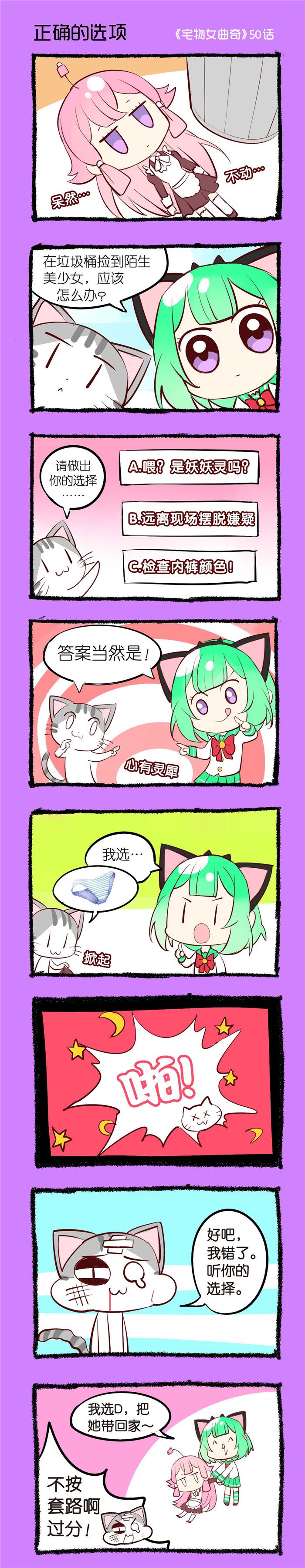 第50章：正确的选项