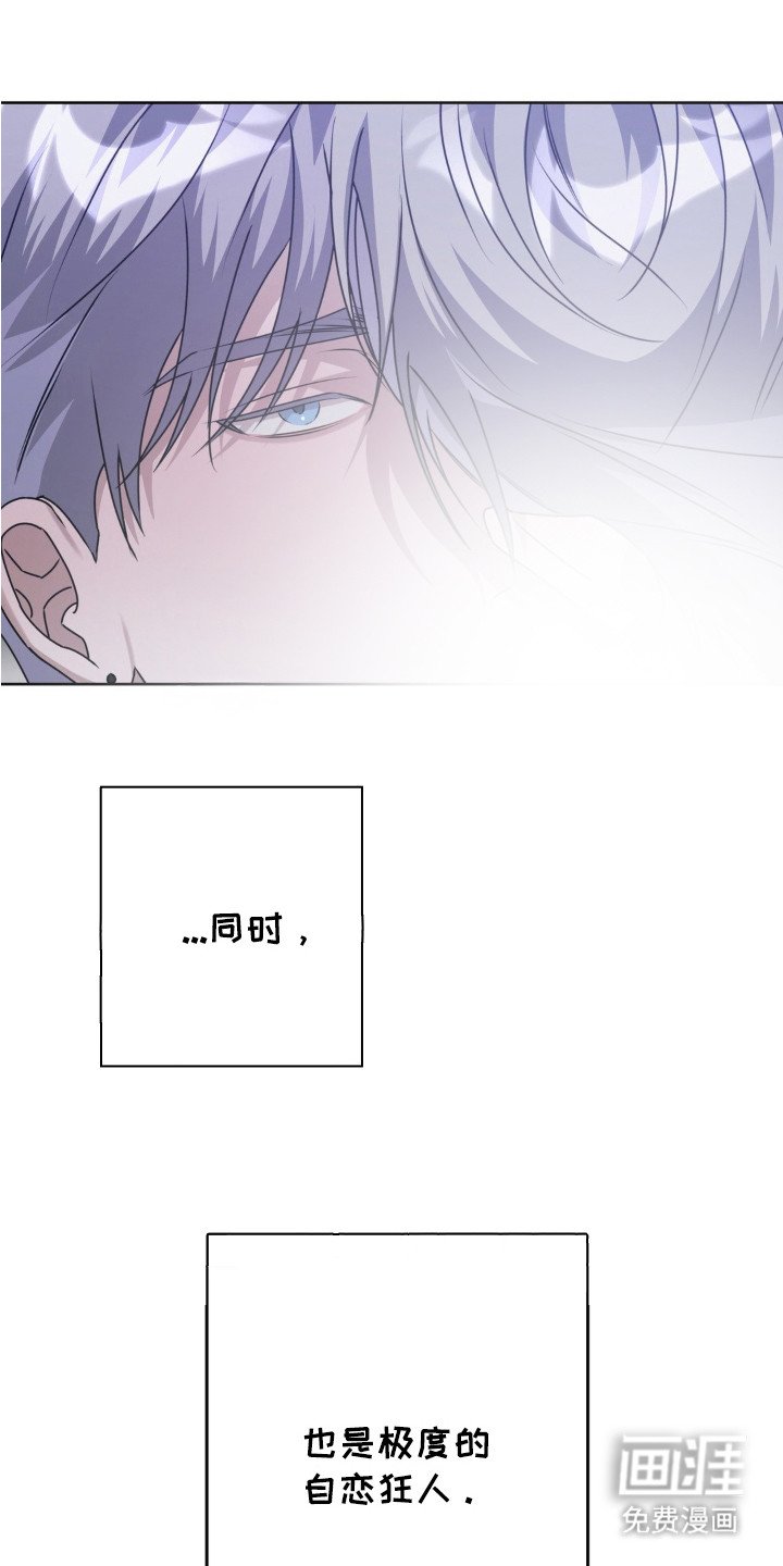 第12章：自恋狂