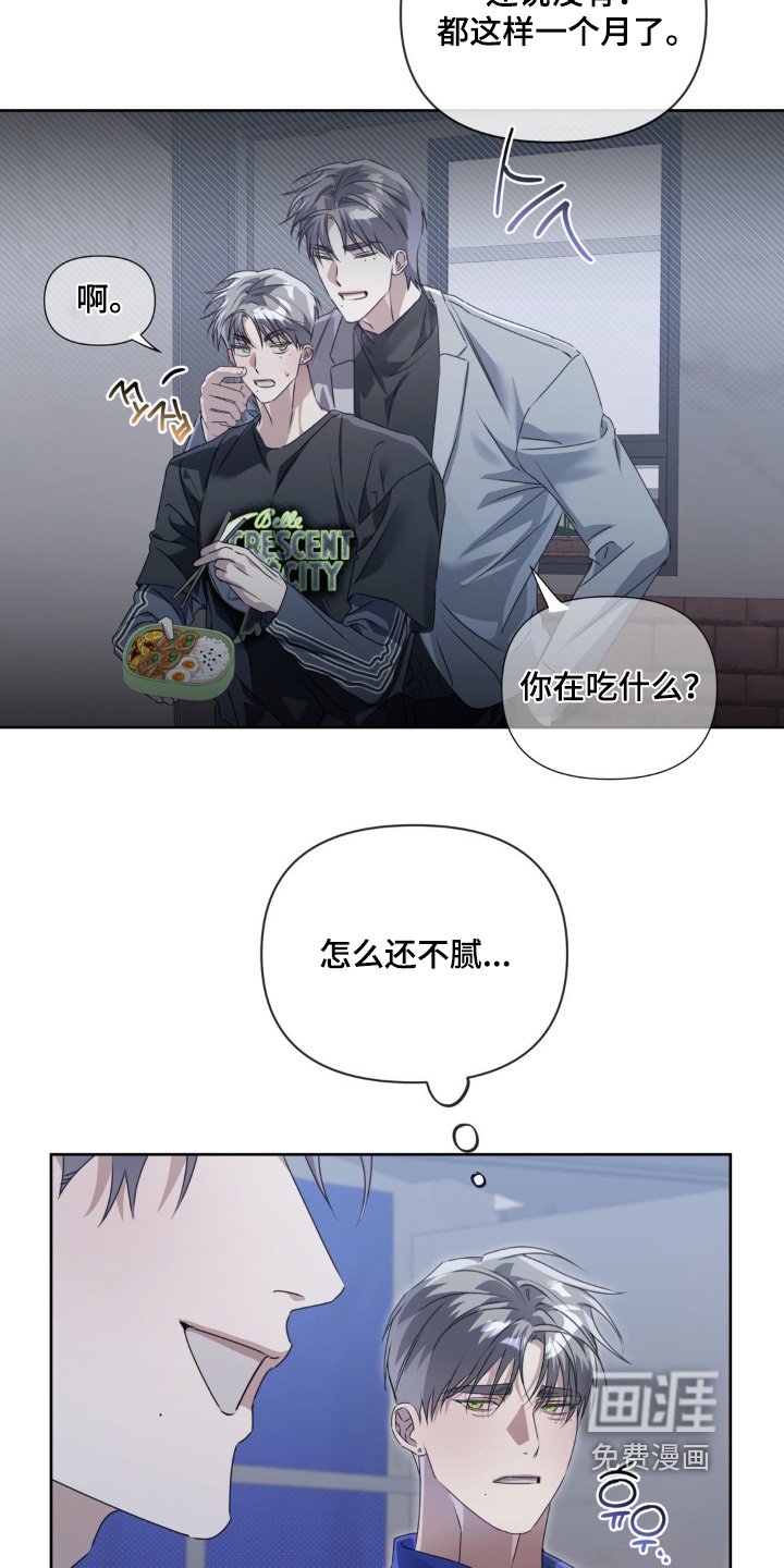 第17章：试一试